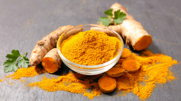 The Benefits of CurcuVet vs. Regular Turmeric Supplements for Dogs