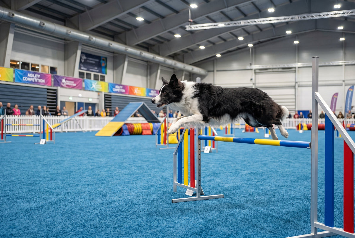 Joint Support for Active, Working, and Sporting Dogs: Why They Benefit From Earlier Support