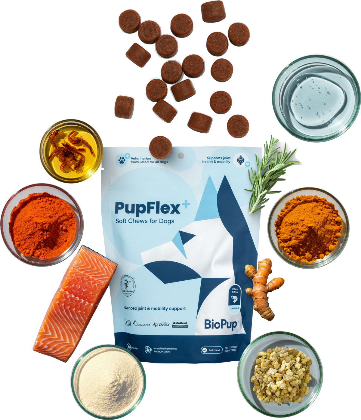 The Science of Omega-3 Fatty Acids in Canine Nutrition: Understanding Source Superiority and Bioavailabiliy
