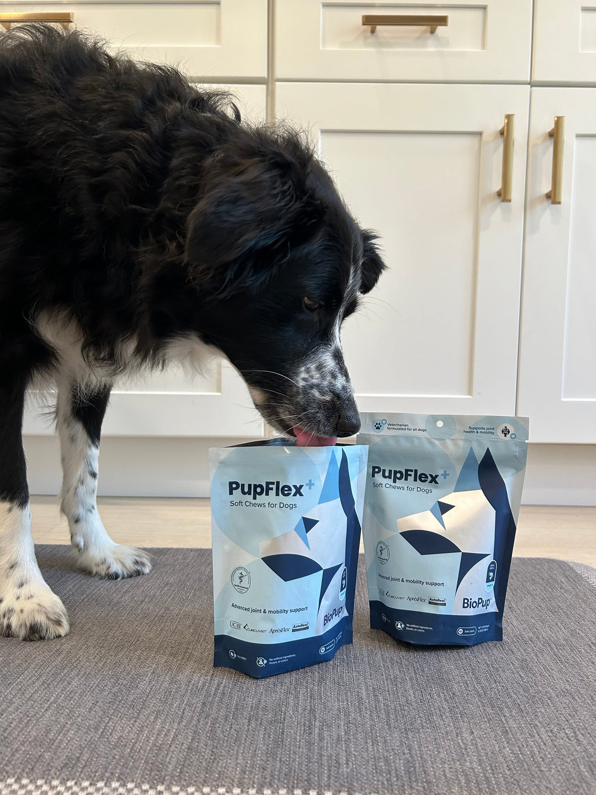 Glucosamine Joint Supplement For Dogs