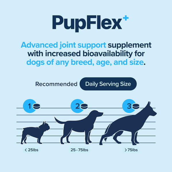 Boswellia Serrata for Canine Mobility and Overall Health: A Scientific Overview