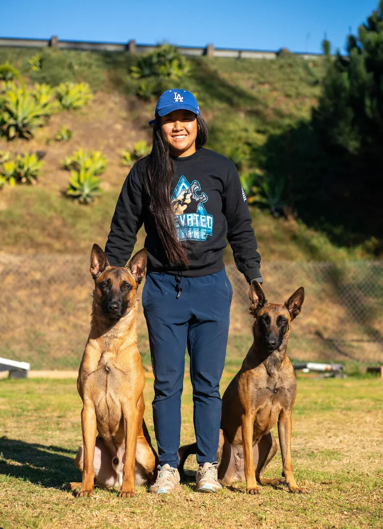 Large Dog Joint Supplements: Why Your Giant Breed Needs Specialized Support