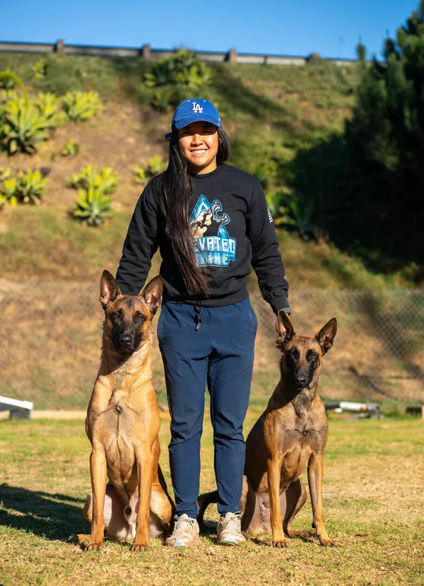 Large Dog Joint Supplements: Why Your Giant Breed Needs Specialized Support