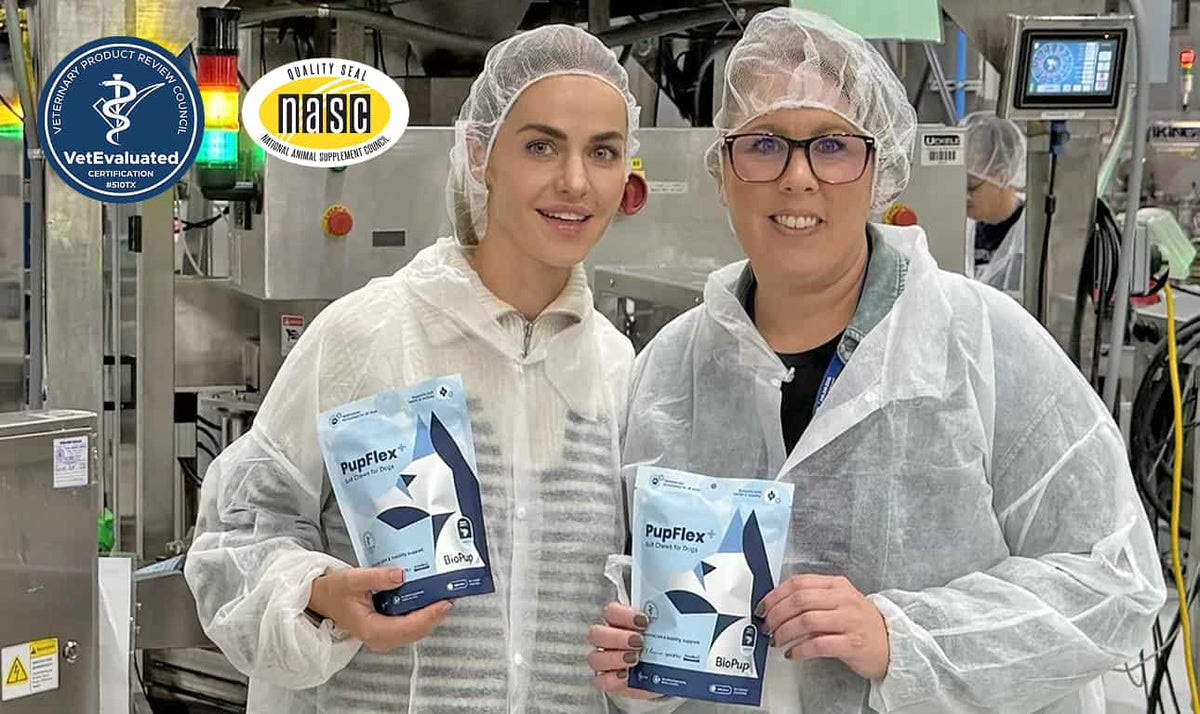 Two People holding PupFlex+ bags at the factory during quality assurance testing. The Seals of NASC and VetEvaluated are visible, noting the certification of Pupflex+ production methods.