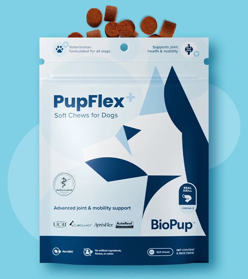 PupFlex+ with Supplements poking out of the top