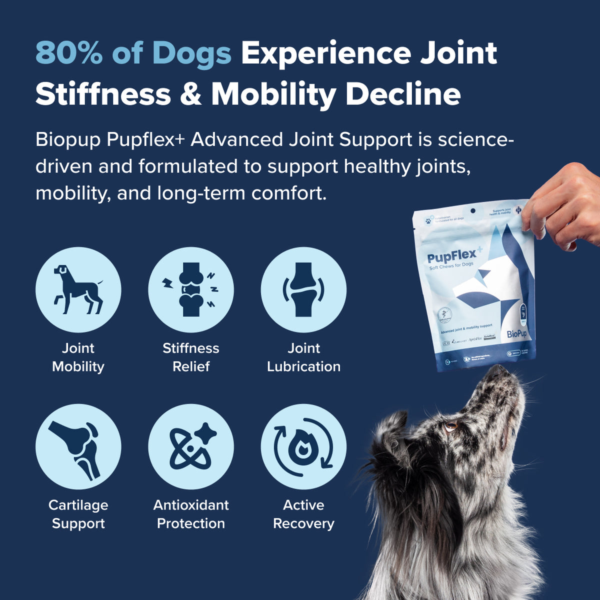 PupFlex+ (CASE)