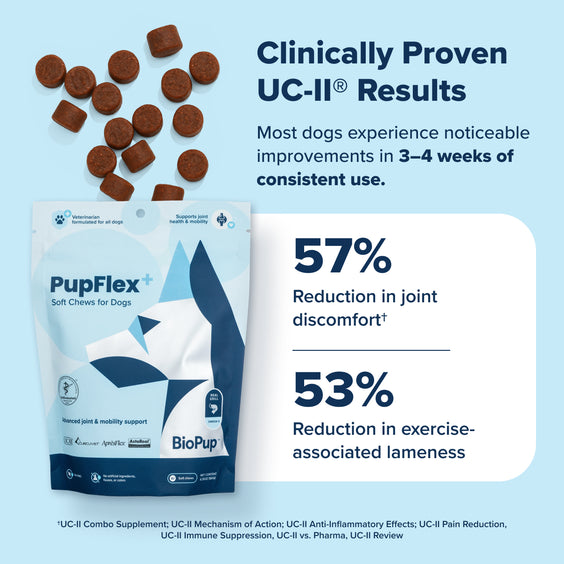 PupFlex+ (Limited Price)