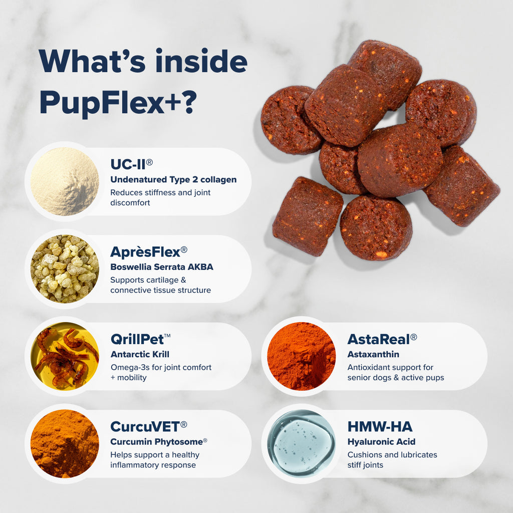 PupFlex+ (CASE)