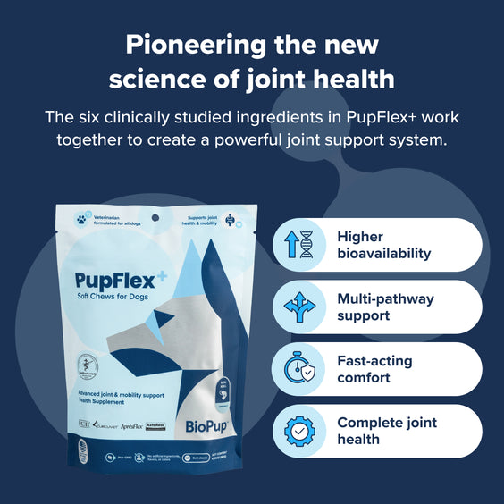PupFlex+ (Limited Price)