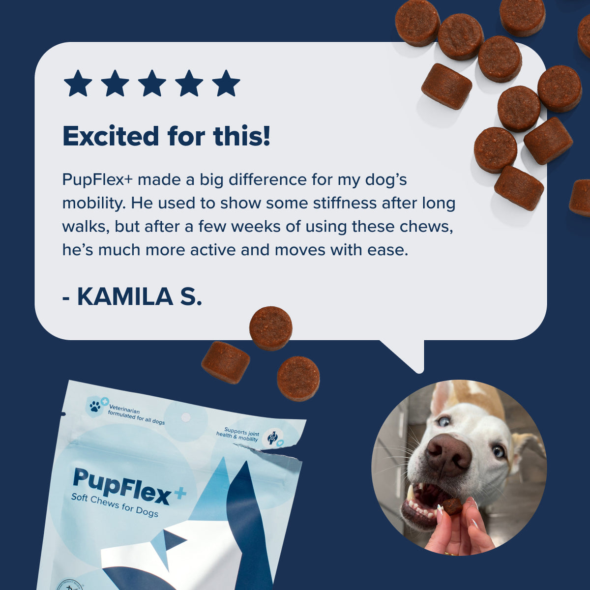 PupFlex+