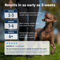 PupFlex+ (Limited Price)