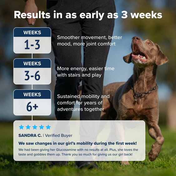 PupFlex+ (Limited Price)