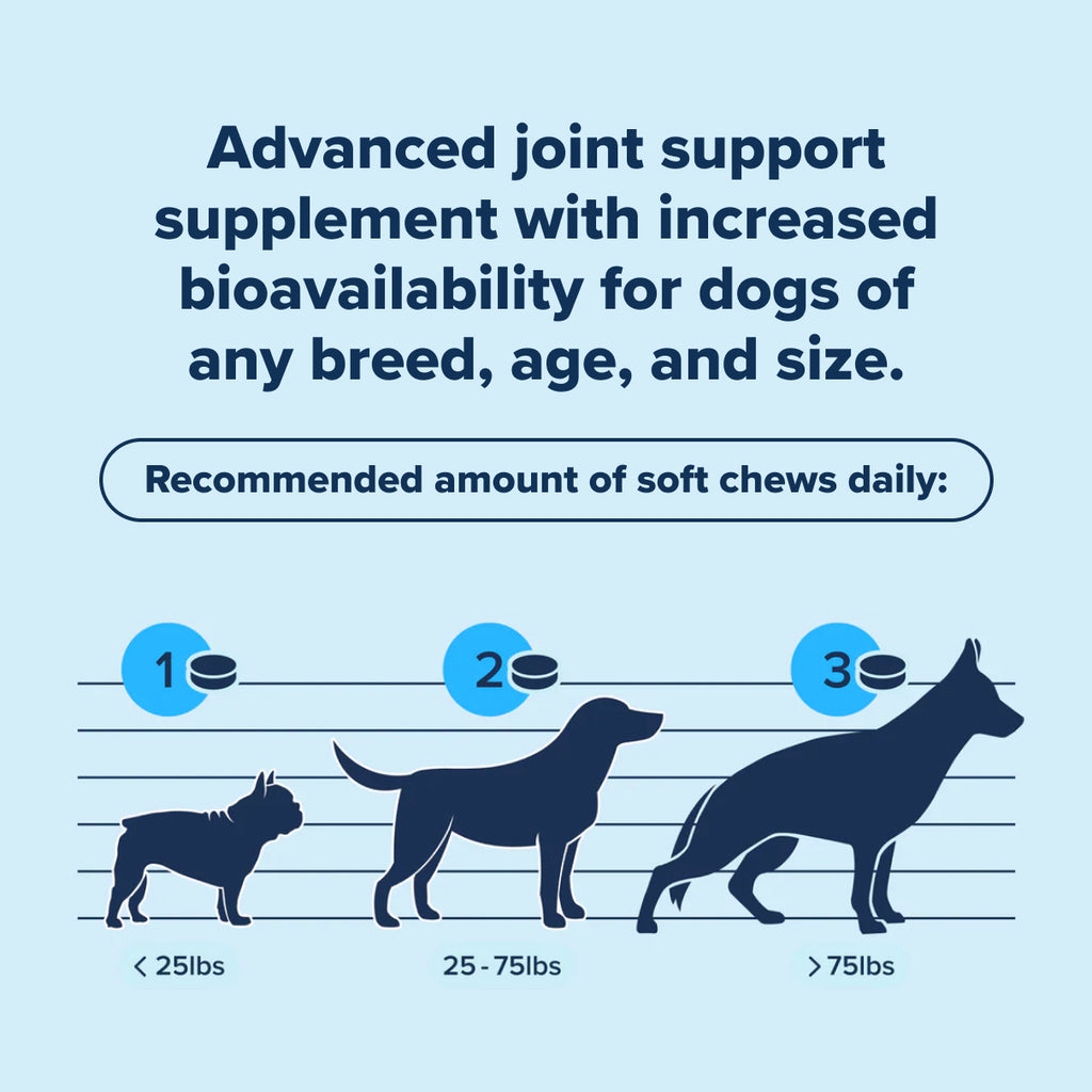 PupFlex+ (CASE)