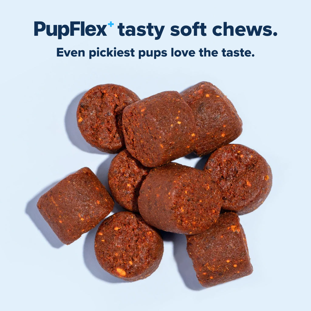PupFlex+ (CASE)