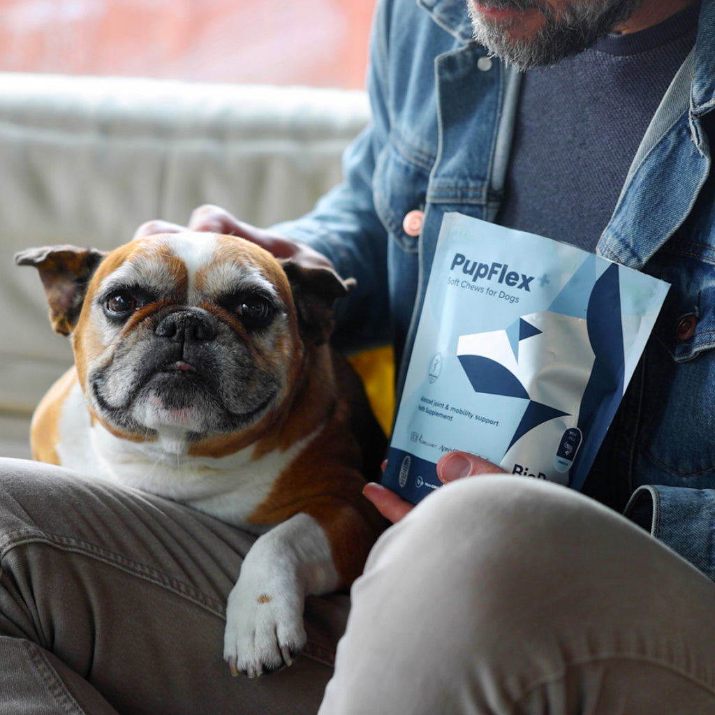 PupFlex+ (CASE)