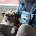 PupFlex+ (Limited Price)