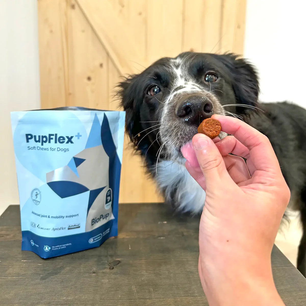 PupFlex+