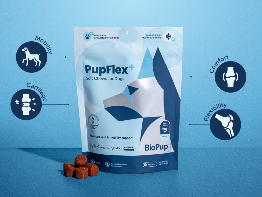 A bag of PupFlex+ soft chews with icons for mobility, cartilage, comfort and flexibility