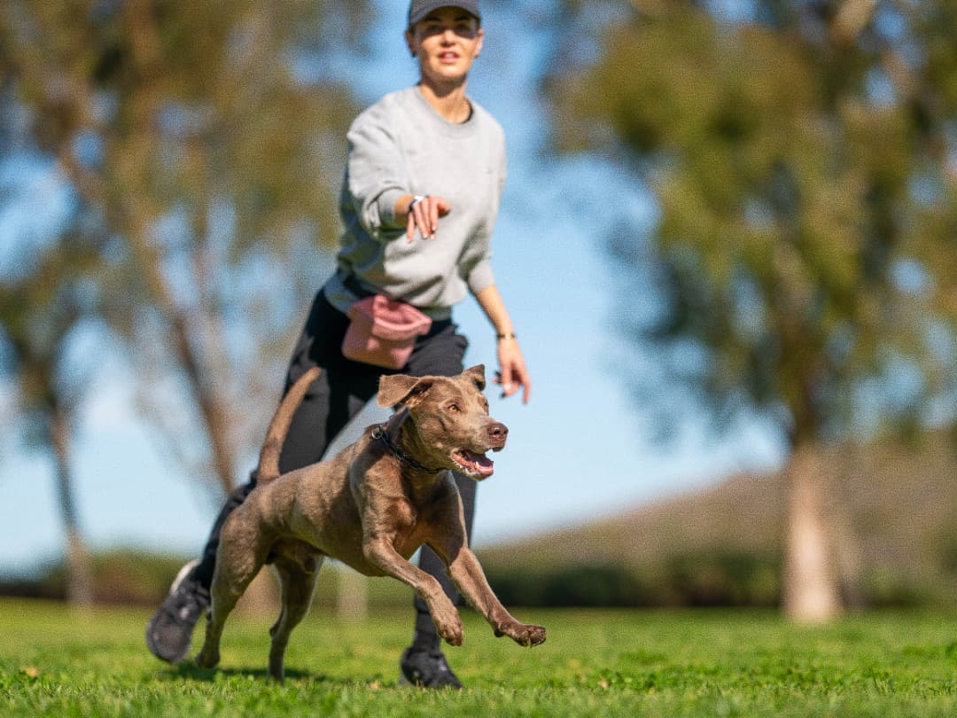 A woman running outdoors with her dog