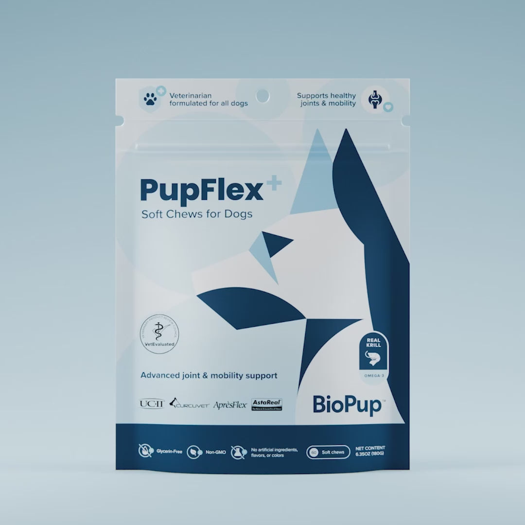 Pup Flex + Video Cover
